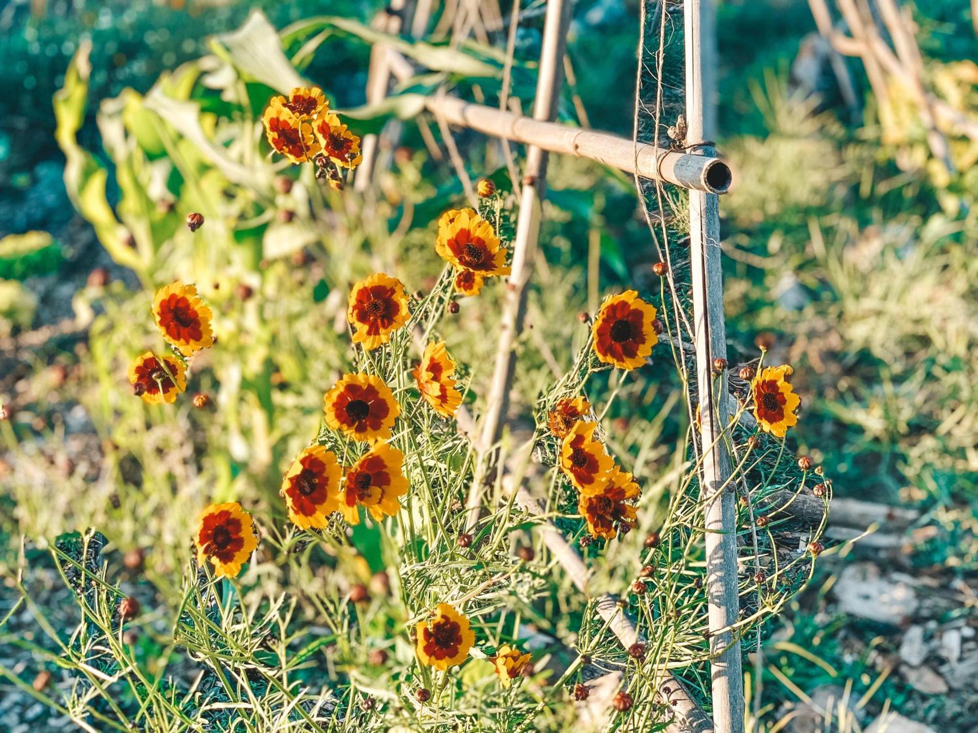 Stay At Pachamama Community อัลกาแซร์โดซัล ห้อง รูปภาพ